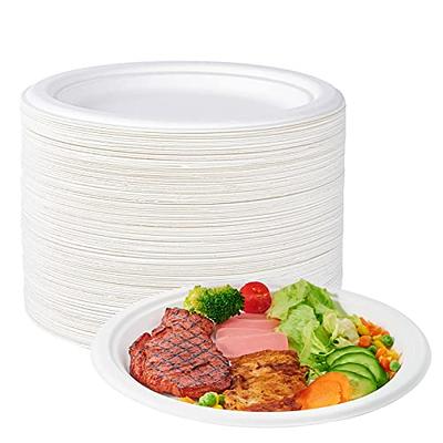 Mgaxyff Paper Plates,100Pcs Disposable Oval Paper Plates 10 Inch White  Compostable Microwaveable Freezerable Disposable Pulp Dish