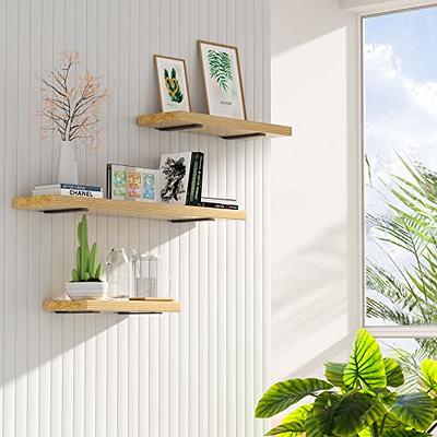 Thick Hidden Bracket Wood Shelves