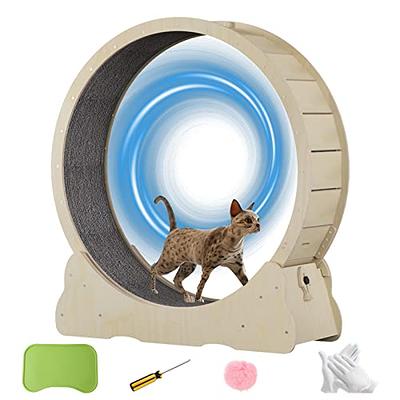 TACKDG Cat Toy Indoor for Cats Interactive Best Kitten Puzzle Toys