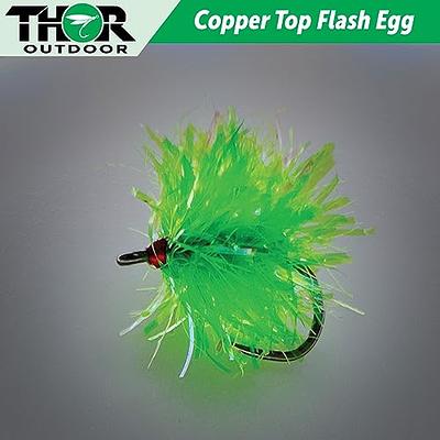 YZD Fly Fishing Big Trout Flies Kit Top 10 Steelhead Flies Flyfishing Gear  Premium Wet Dry