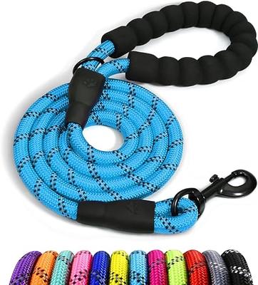 Cesar Millan Slip Lead Leash™ - 2-in-1 Slip Collar Dog Training Lead &  Collar | Heavy Duty Durable Weatherproof Rope Leash, No Pull Training |  Length