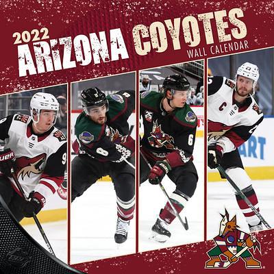 MLB Arizona Diamondbacks 2022 Wall Calendar