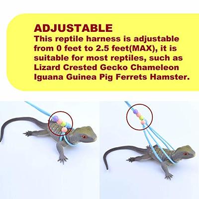  3 Packs Bearded Dragon Harness and Leash Adjustable(S,M,L) -  Soft Leather Reptile Lizard Leash for Amphibians and Other Small Pet  Animals : Pet Supplies