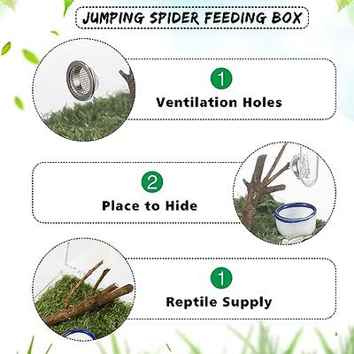 POPETPOP Transparent Terrarium Tarantula Accessories Mantis Enclosure  Lizard cage Spider terrariums Jumping Spider Enclosure Scorpion Habitat  Mini