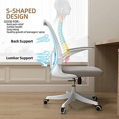 Monhey Ergonomic Office Chair Office Chair with Lumbar Support & Headrest &  Flip-up Arms Height Adjustable Rocking Home Office Desk Chairs Swivel High  Back Computer Chair Warm Taupe Mesh Study Chair 