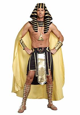 Dreamgirl Adult King Tut Costume, Mens Ancient Egyptian Pharaoh