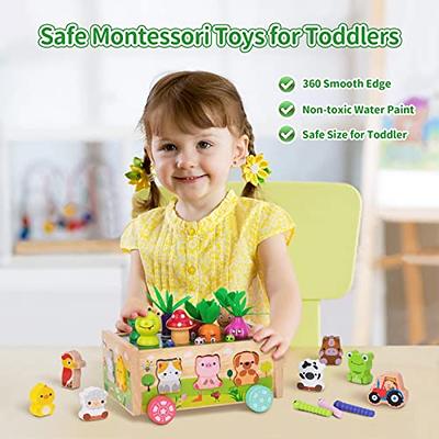 Buy Montessori Toys for Toddlers 1 2 3 Years Old Boys Girls