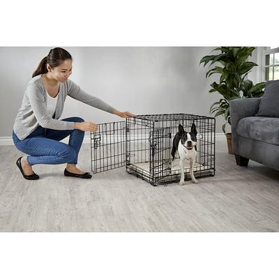 EveryYay Places To Go Black Pet Carrier, Small