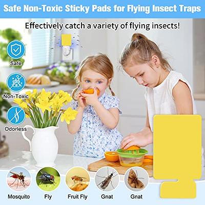 Flying Insect Trap Refill Kit, Indoor Plug-in Fly Trap Refill Sticky Glue  Cards, Safe Non