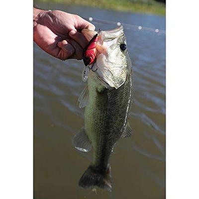 Ozark Trail 1/2 oz Spinnerbait Threadfin 