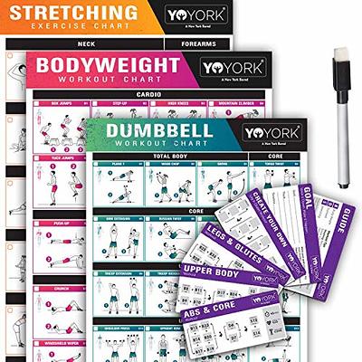  NewMe Fitness Workout Posters for Home Gym - Exercise Posters  for Full Body Workout - Core, Abs, Legs, Glutes & Upper Body Training  Program (22 Pack) : Sports & Outdoors