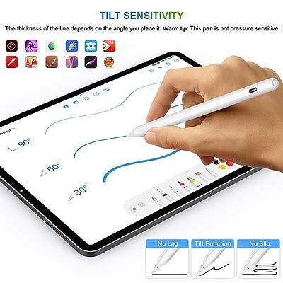 iPad 10th/9th/8th Pencil 2nd Generation with Magnetic Wireless Charging  Stylus for iPad Air 5th/4th,iPad Pro 11/12.9,iPad Mini 6th  Generation,Tilt