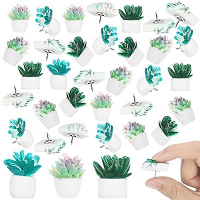 Cactus Push Pins