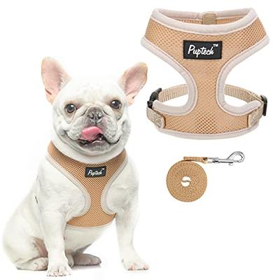 Buy PUPTECK Adjustable Dog Harness Collar and Leash Set Step in No
