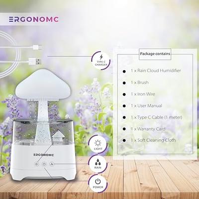 Rain Cloud Humidifier Water Drip With Adjustable Led Lights - Temu