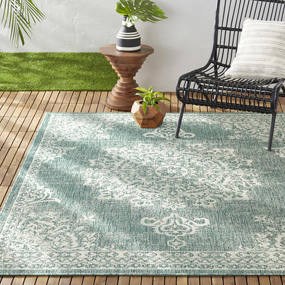 SAFAVIEH Beach House Minda Indoor/ Outdoor Waterproof Patio Backyard Rug -  Yahoo Shopping