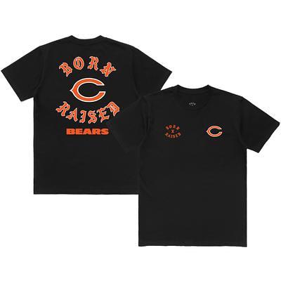 Men's Nike Brown Chicago Bears 2023 Salute To Service Long Sleeve T-Shirt