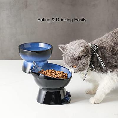 Pet Supplies : Nihow Dog Food & Water Bowl Set: Elevated Ceramic