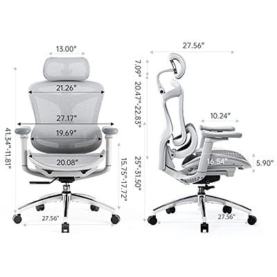 Dynamic Lumbar Support Office Chair | OC12-PRO | Eureka Ergonomic