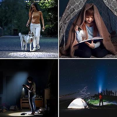 Lighting EVER LED Flashlights High Lumens, Small Flashlight, Zoomable,  Waterproof, Adjustable Brightness Flash Light for Outdoor, Emergency, AAA