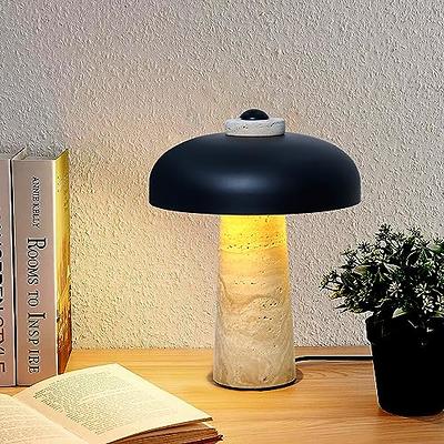 ENERGETIC LED Light Desk Lamp, 3.5W 4000K Study Lamps with Flexible Goose  Neck for Bedroom and Office, Red