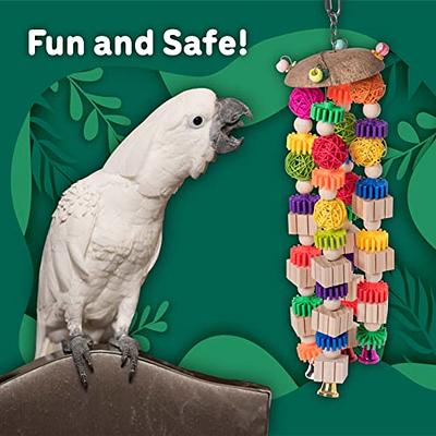 Parrots Beak Grinding Toy Bird Educational Toy with Color Rings