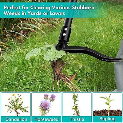 Weeding Artifact Uprooting Weeding Tool, Garden Weeding Tools, Stainless  Steel Forged Weed Puller 4 Teeth Dual Purpose Weeder, High Strength Hand  Remover Tool for Garden (12 Inch Wooden Handle) - Yahoo Shopping