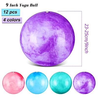  Slim Panda Pilates Ball,9 Inch Small Exercise Ball