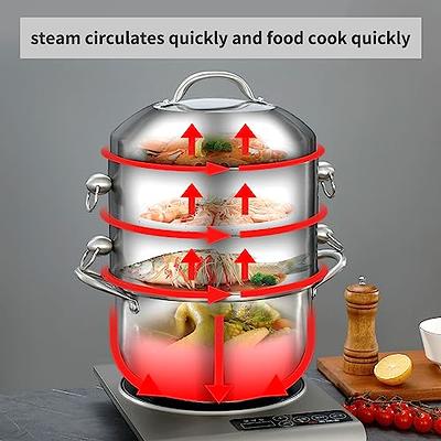 Steamer for Cooking, 18/8 Stainless Steel Steamer Pot, Food Steamer 11 inch  Steam Pots with Lid 2-tier for Cooking Vegetables, Seafood, Soups, Stews