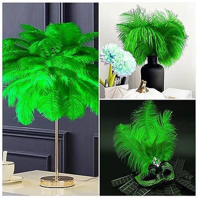 Piokio 20 Pcs Black Ostrich Feathers Plumes 12-14 inch(30-35 cm) in Bulk for Wedding Party Centerpieces Gatsby Decorations