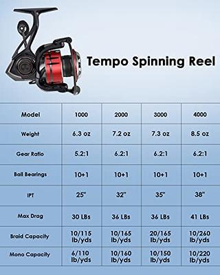 Tempo Expert Spinning Reels, Ultralight Magnesium Body Fishing Reel with Super  Smooth 10+1 BB, 41LBs Carbon Fiber Drag Max, Aluminum Handle, 6.2:1 Gear  Ratio for Freshwater Catfish Bass, Red - Yahoo Shopping