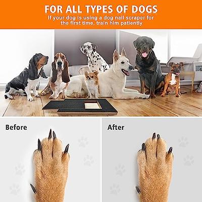 Buy Hanaive Dog Nail Scratch Board Pad and Dog Nail Clippers Set Dog Scratch  Pad for Nails Dog Nail Scratch Square Trimmer Dog Nail File Board with  Sandpaper for Dog Claw (Classic)