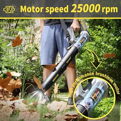 Leaf Blower Cordless with Battery and Charger, Battery Powered Electric  Leaf Blower, 2-in-1 Portable Mini Leaf Blower &Vacuum for Lawn Care,  Dust/Snow