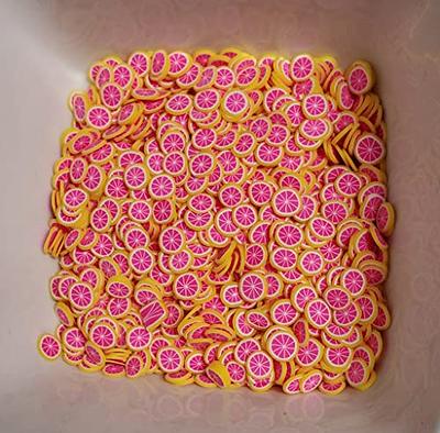 EHOPE Fake Sprinkles Fruit Nail Art Slices Clay Sprinkles Polymer