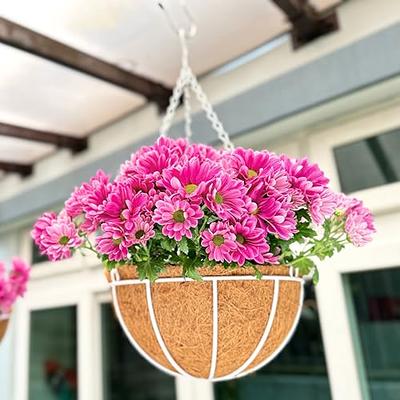 2 Packs, 8 Inch Plant Hanger, Wall Planters For Indoor Plants, Wooden Wall  Mounted Hanging Plant Hooks, Basket Hooks For Lanterns, Flower Bracket, Win