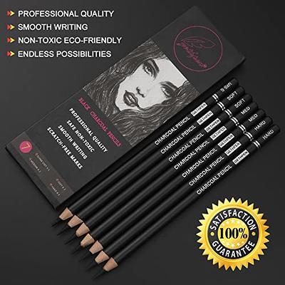 PANDAFLY Professional Charcoal Pencils Drawing Set - 8 Pieces Super Soft,  Soft, Medium and Hard Charcoal Pencils for Drawing, Sketching, Shading,  Artist Pencils for Beginners & Artists 