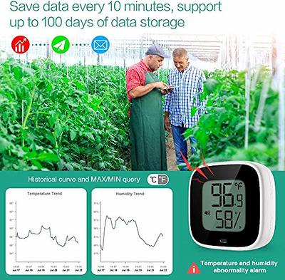 Wireless Bluetooth Thermometer Hygrometer Indoor Outdoor, Mini Bluetooth  Humidity and Temperature Sensor with Data Export for iOS Android, for House,  Wine Cigar, Living Room, Baby Room 