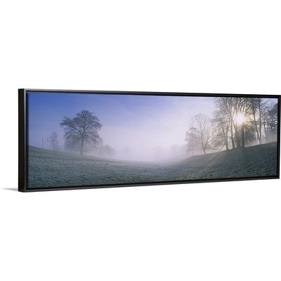 Trees on a landscape, St. John's in The Vale, Cumbria, England Black Float  Frame Canvas Art - Yahoo Shopping
