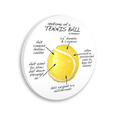 Stupell Industries Tennis Ball Learning Sports Educational Diagram