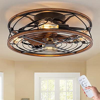 DewShrimp Chandelier Ceiling Fan Bladeless Ceiling Fan with Metal