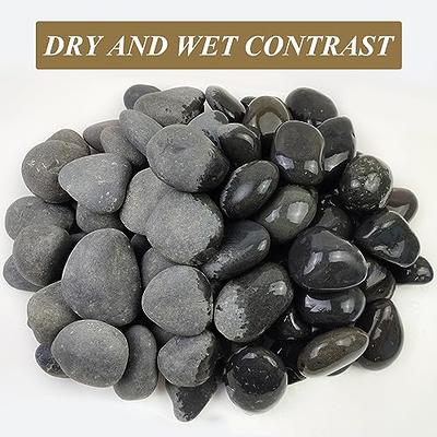 OUPENG Coarse Sand Stone - Silica Sand for Plants,Mix Course Sand Soil Cover Succulents and Cactus Bonsai Natural Rocks Decorative Sand