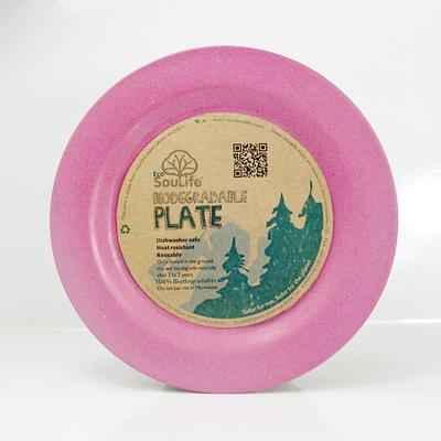 7.3 Plastic Kids' Plate Coral Pink - Pillowfort™ : Target