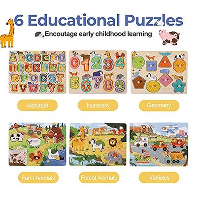 GRINNNIE Wooden Peg Puzzle for Toddlers 2 3 4 Years Old, 4 PCS Montessori  Educational Learning Puzzles Set-Numbers, Letters, Animals and Fruits,  Great