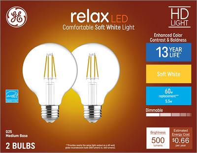 GE Cool Daylight 60 Watt Equivalent A15 Dimmable LED Light Bulb (2 Pack)