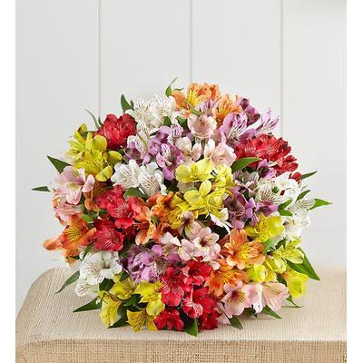 1800Flowers Flower Delivery Classic Lily Bouquet W/ Honeycomb Vase - Yahoo  Shopping