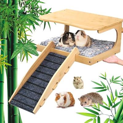 Percozzi Taco Hamster Hammock Hideout Tunnel House Rat Toys Cage Accessories  Bed Ferrets Guinea Pigs Hedgehogs Chinchill Sugar Glider Small Animal  Habitat - Yahoo Shopping