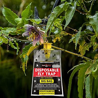 Trappify Hanging Fly Trap - Fly Traps for Indoors and Outdoor - Fly Paper  and Fly Strips - 4 Pk 