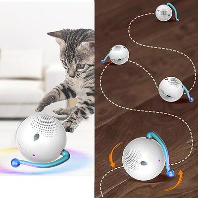 AUKL Interactive Dog Toys Wicked Ball Self Moving Motion Activated