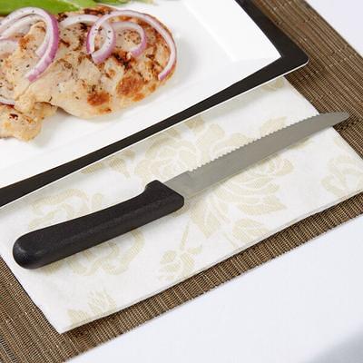 Acopa 8 1/4 Stainless Steel Semi-Hard Cheese Knife / Server with Plastic  Handle