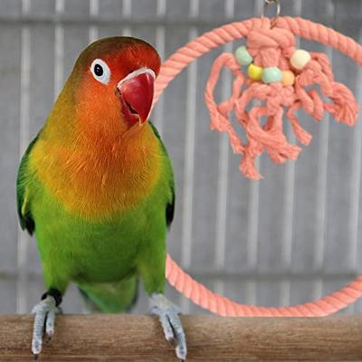 You & Me Colorful Spiral Rope Bird Perch, Medium